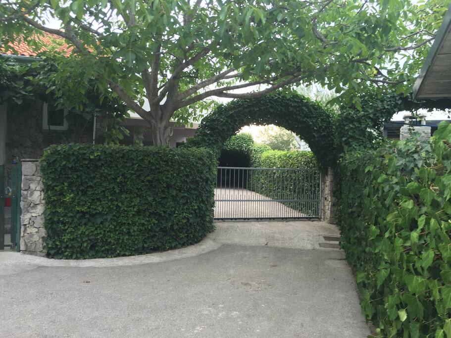 Driveway/parking entrance
