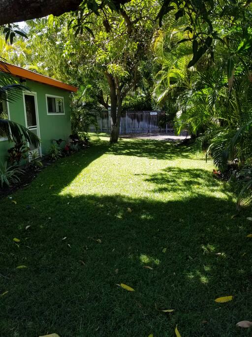 Mango Cottage yard
