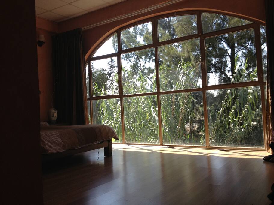 Main Bed Room