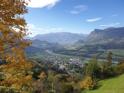 Rhine Valley View Liechtenstein
