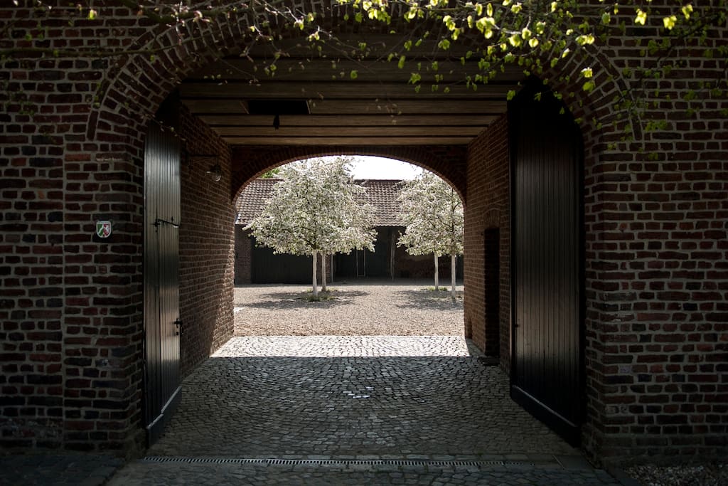 Blick in den Hof während der Apfelblüte