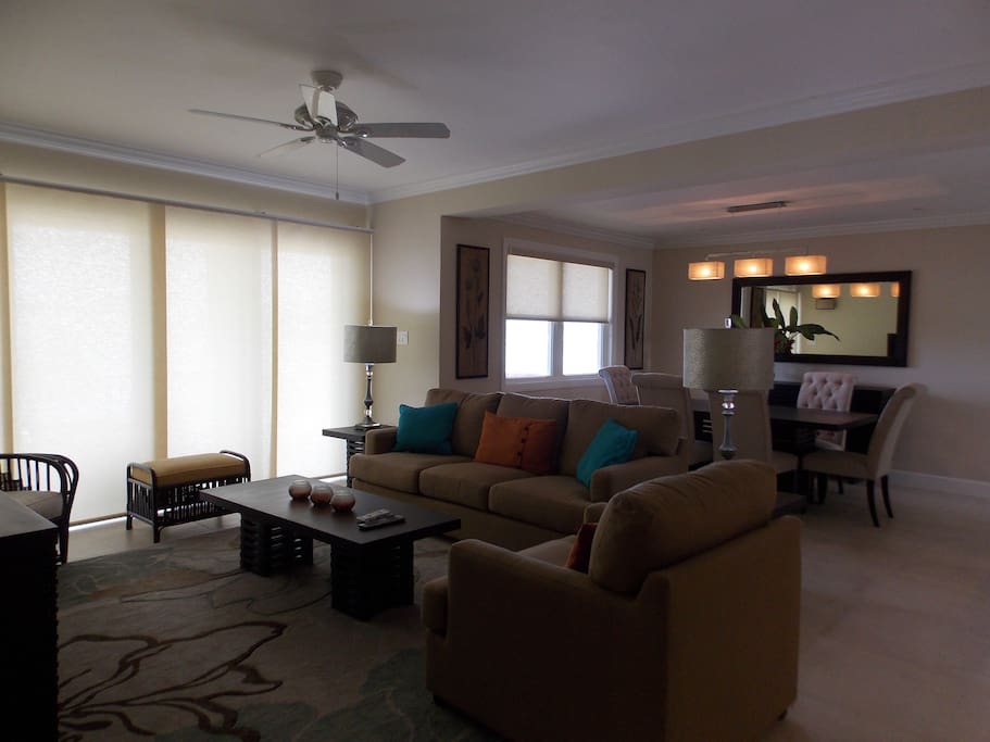Living room/Dining room