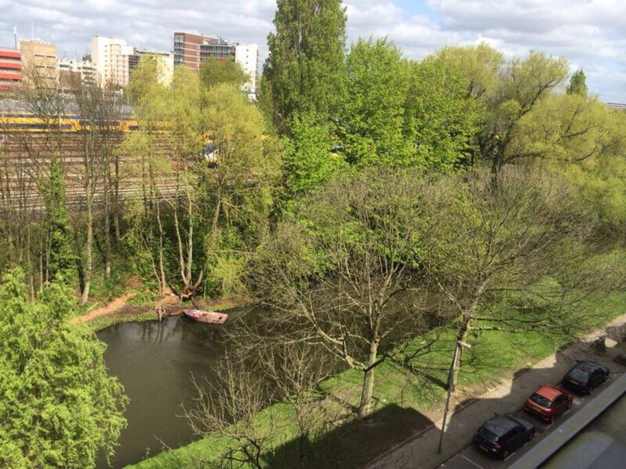 Balcony view
