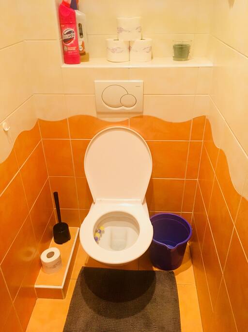 Toilet