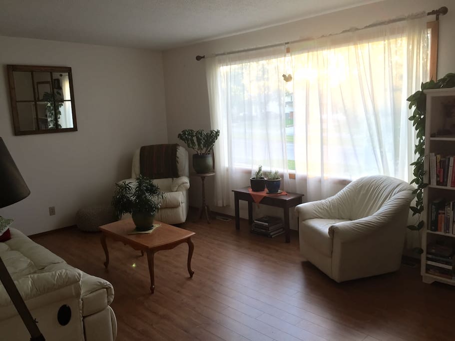 Comfortable living room area