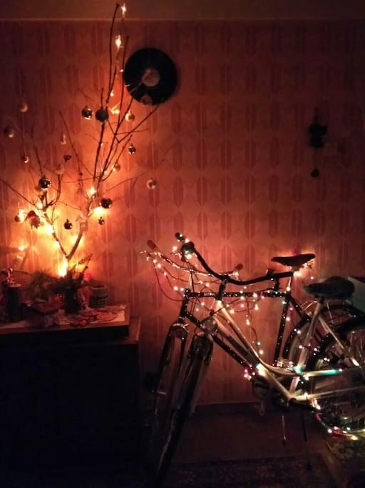 In our house there are many bicycles and postcards) We have two city bikes, which can be rented, if its will be free