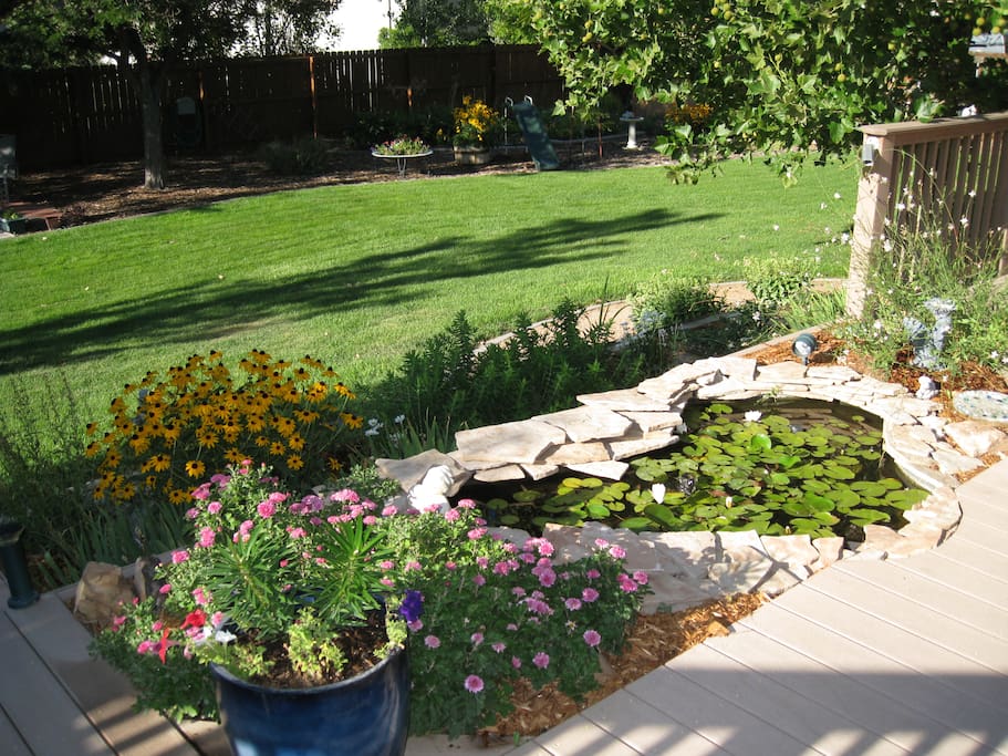 Large back yard