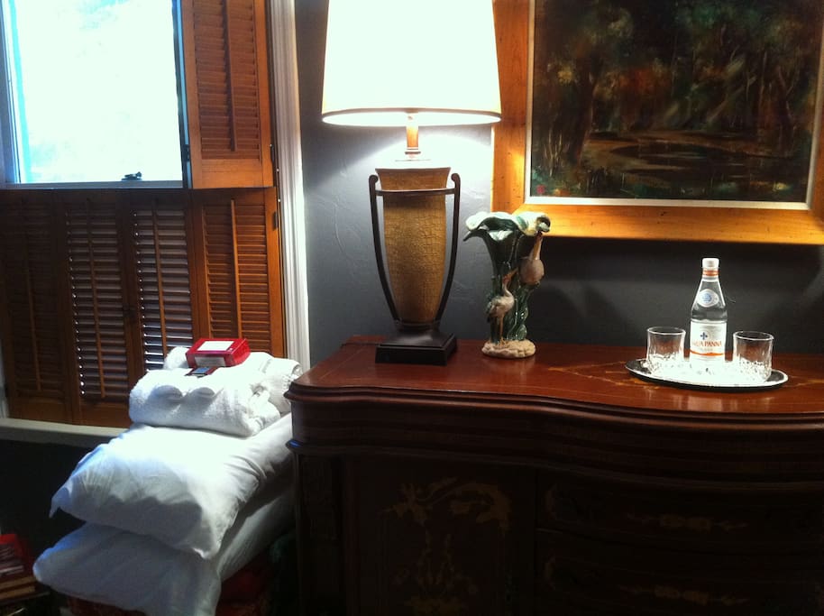 Guest room / library with deluxe twin bed.