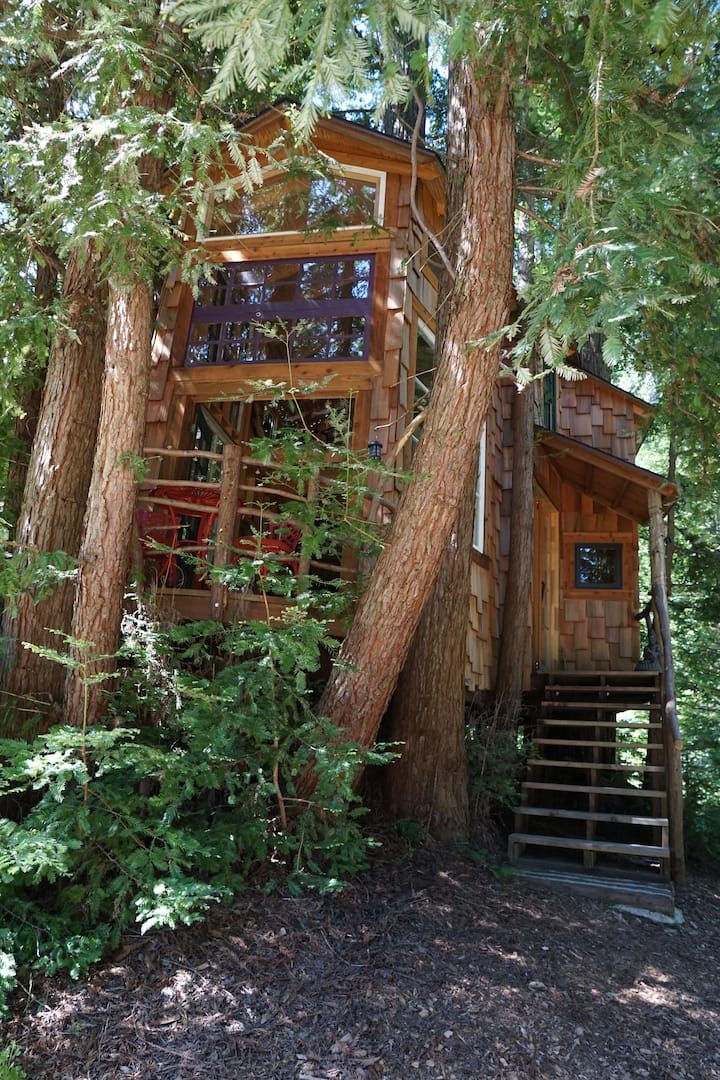 18 Best Treehouse Hotels And Vacation Rentals In Northern California