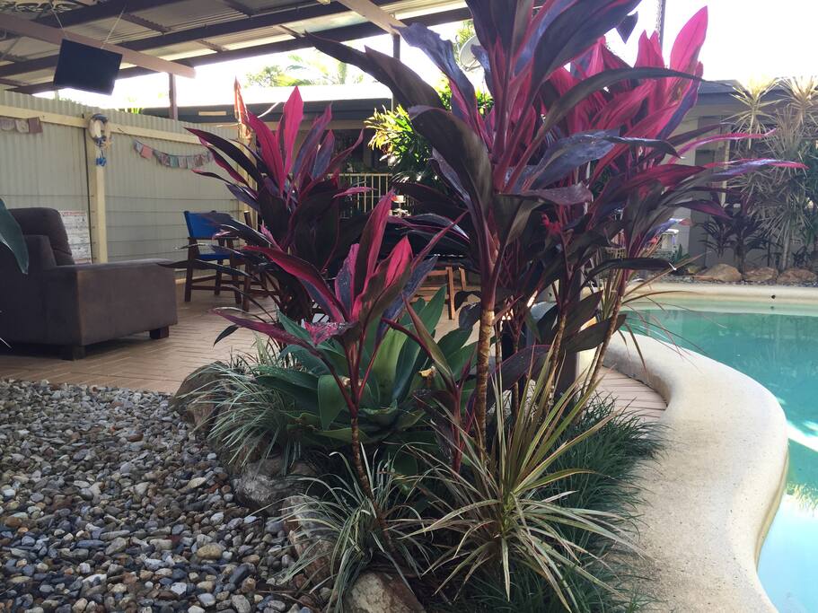A tropical retreat, kick back, take a load off your feet, relaxation is sweet! Watch as the lorikeets tweet tweet!