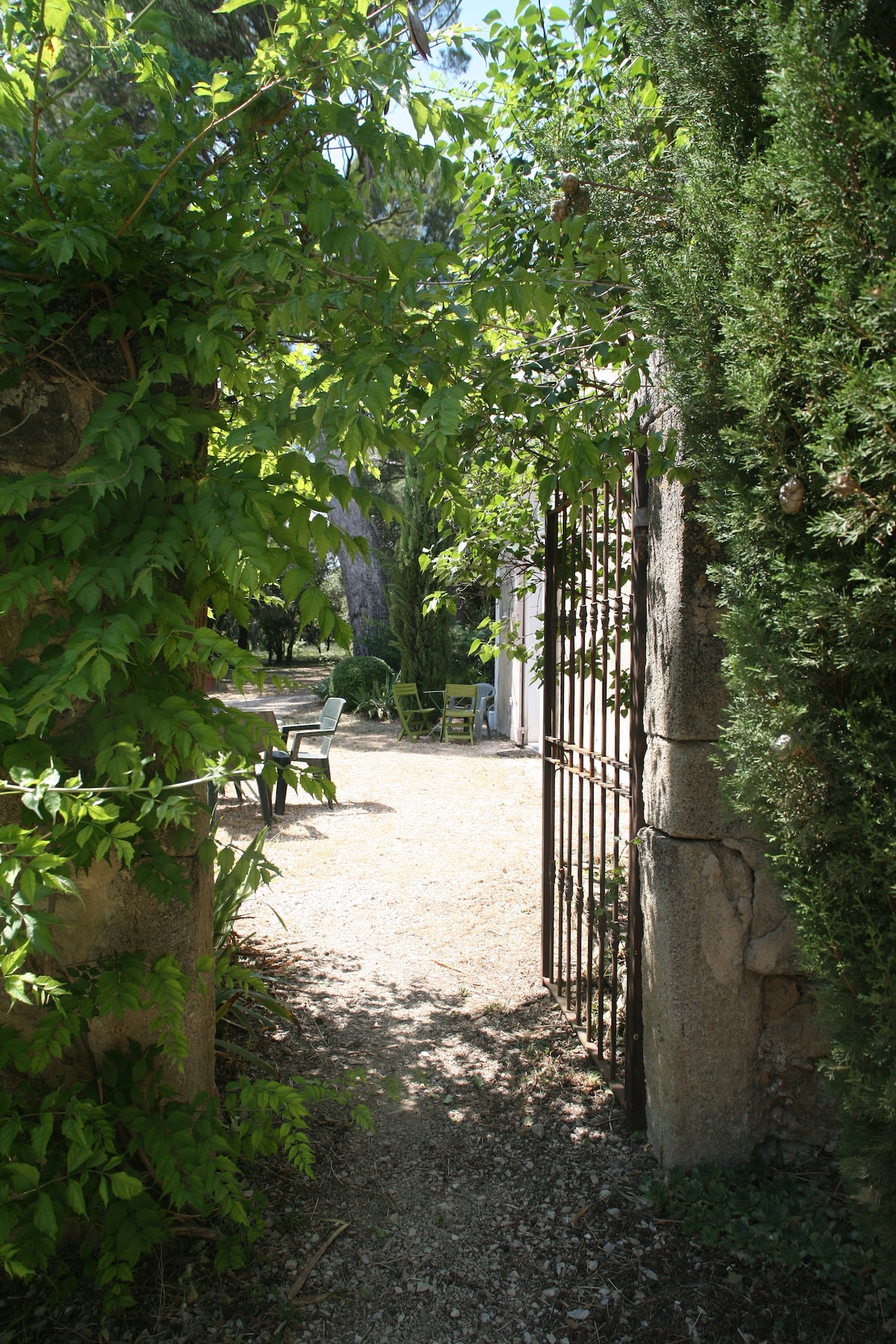 A wrought iron gate is framed by lush green foliage, leading to a gravel path that meanders into a serene garden. In the background, a few chairs are visible, surrounded by shaded areas under tall trees, offering a peaceful retreat.