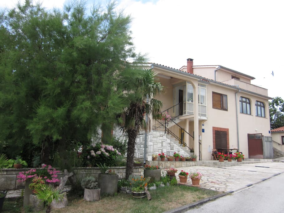 View on the whole house.
