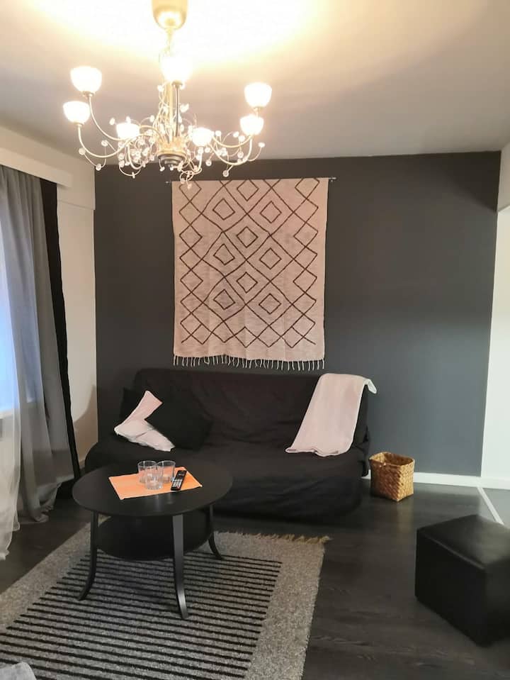 Top 16 Airbnb Vacation Rentals In Kuopio, Finland Updated 2024 Trip101