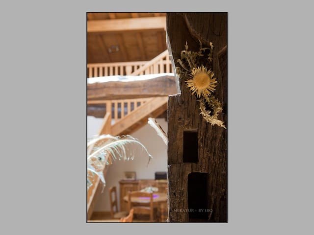 Casa Rural Troya a 10min de San Sebastian gallery image 3