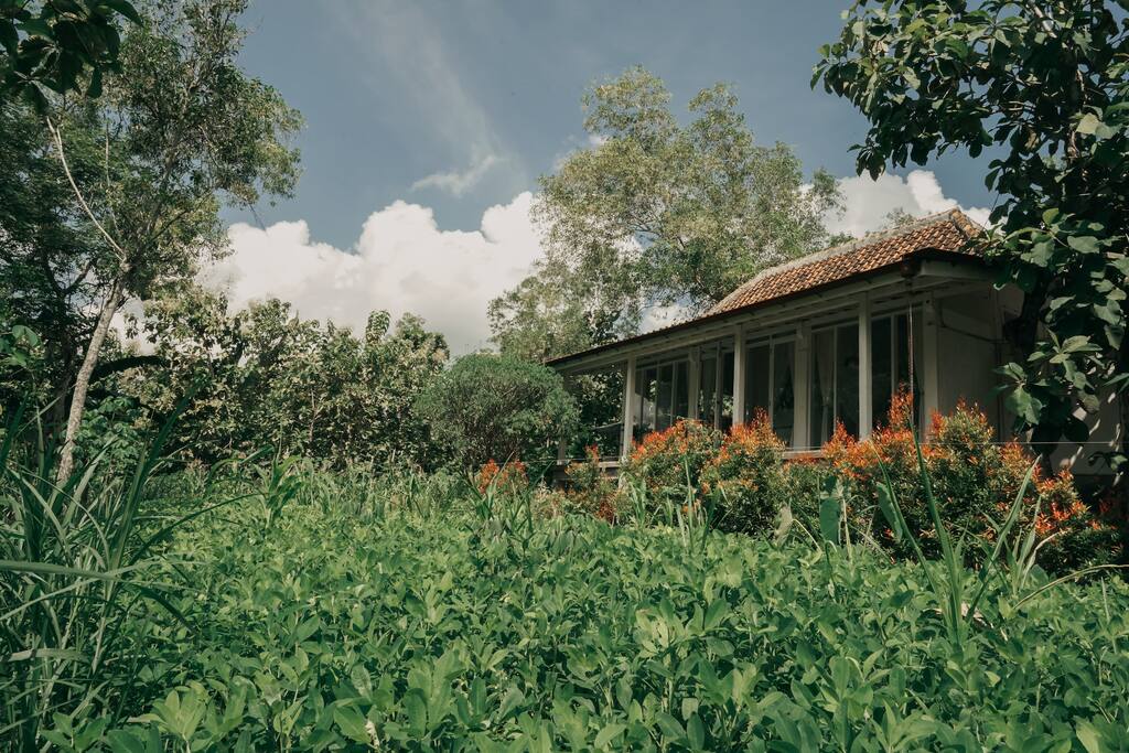 Surrounding garden.