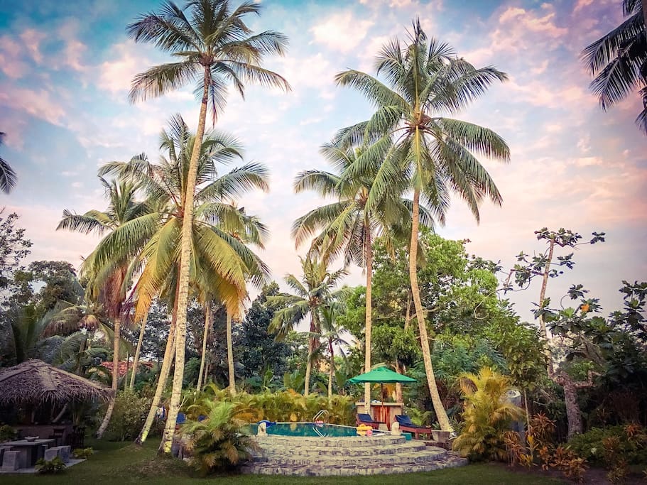 Stunning garden and pool area..the ultimate tropical oasis