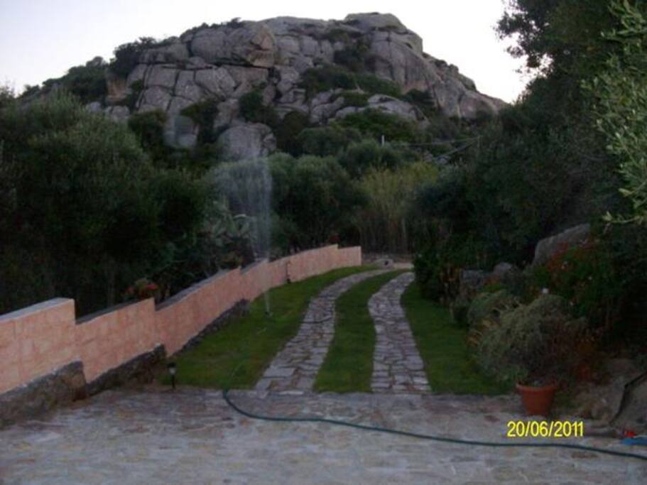Viale