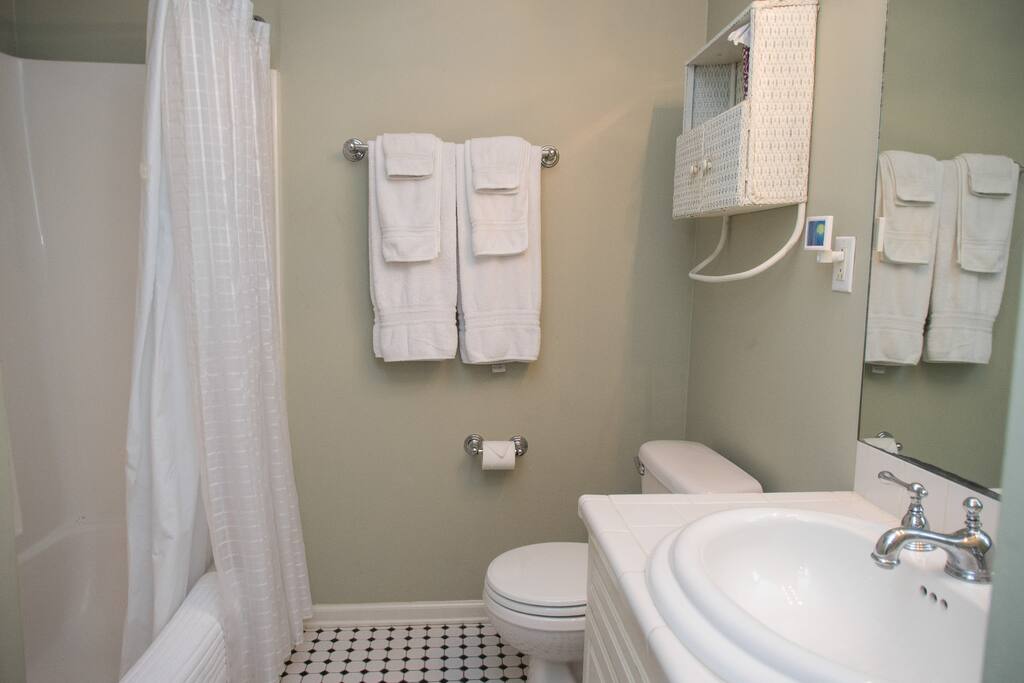 master bathroom with tub & shower