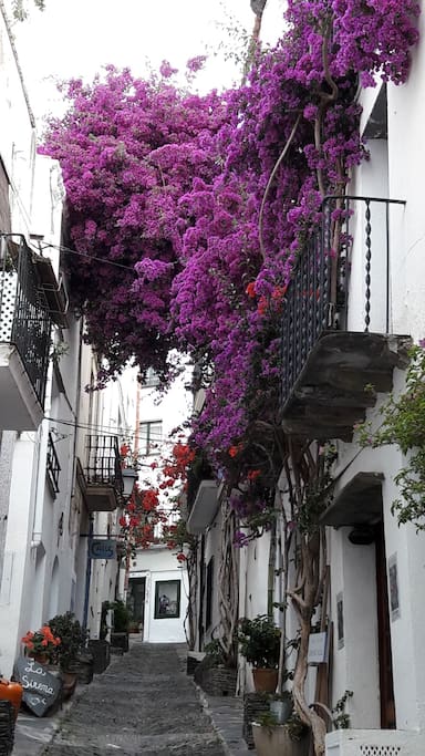 Calle Call