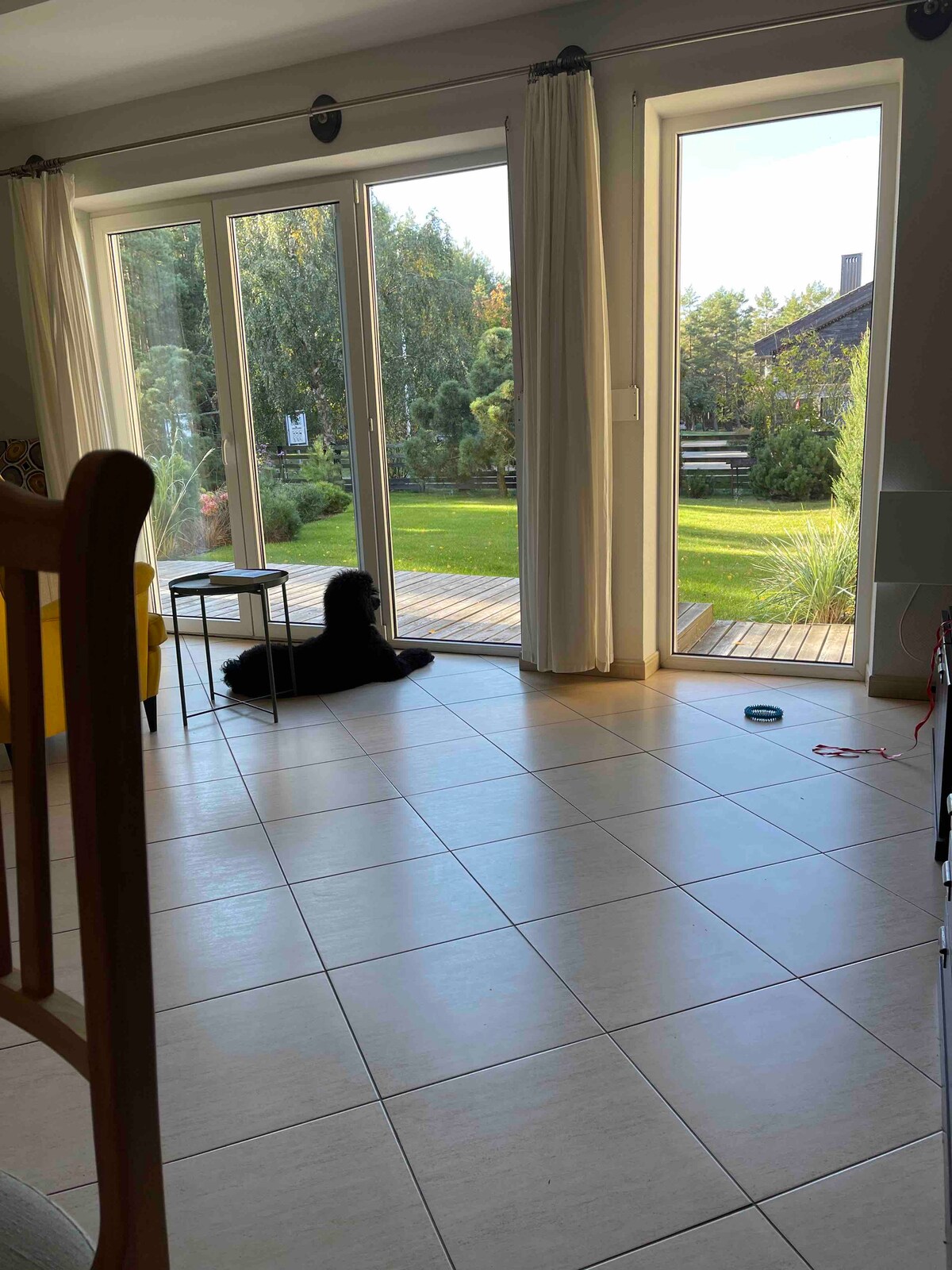 A spacious living area features large glass doors that open to a green outdoor space. A dog rests comfortably on the tiled floor, with sunlight illuminating the room through sheer curtains. A small table is noticeable in the foreground.