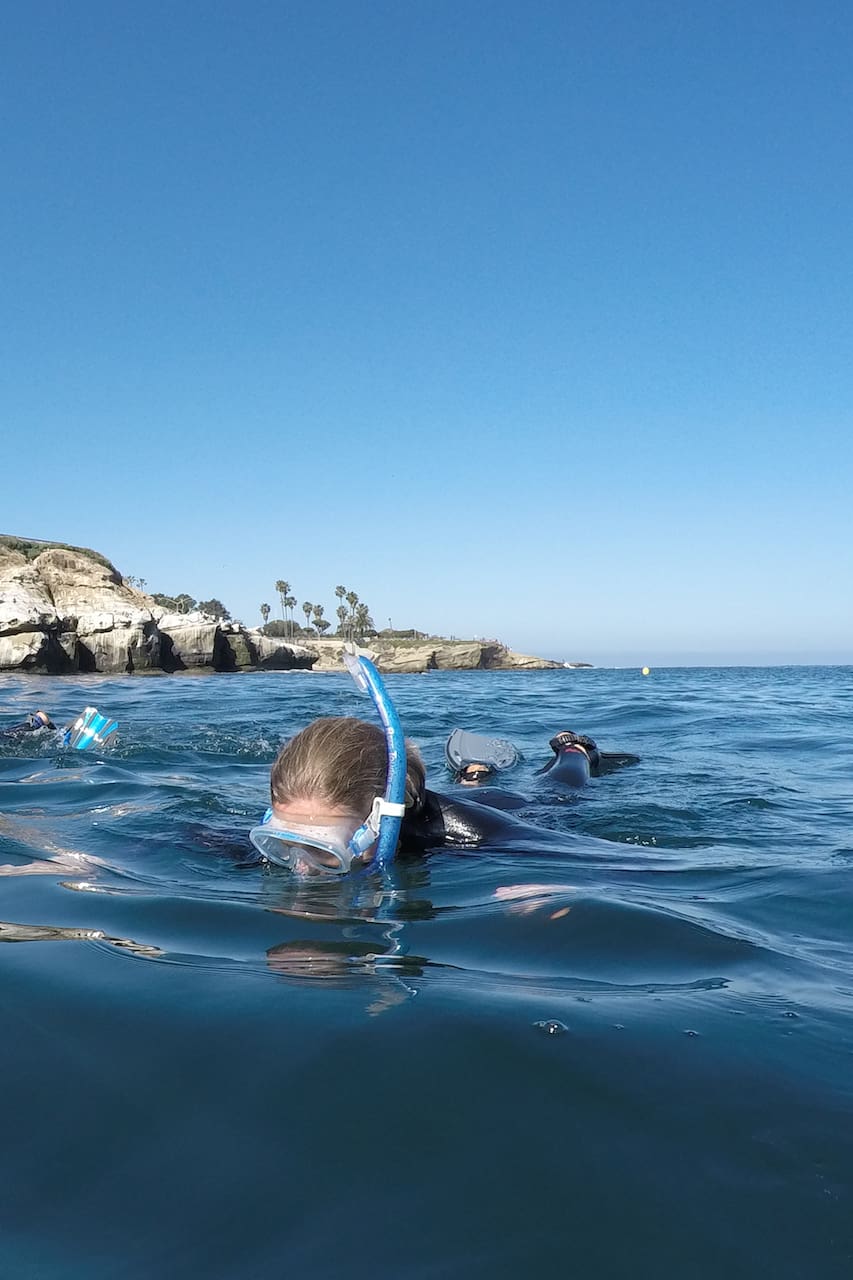Snorkel La Jolla Cove with a biologist Airbnb