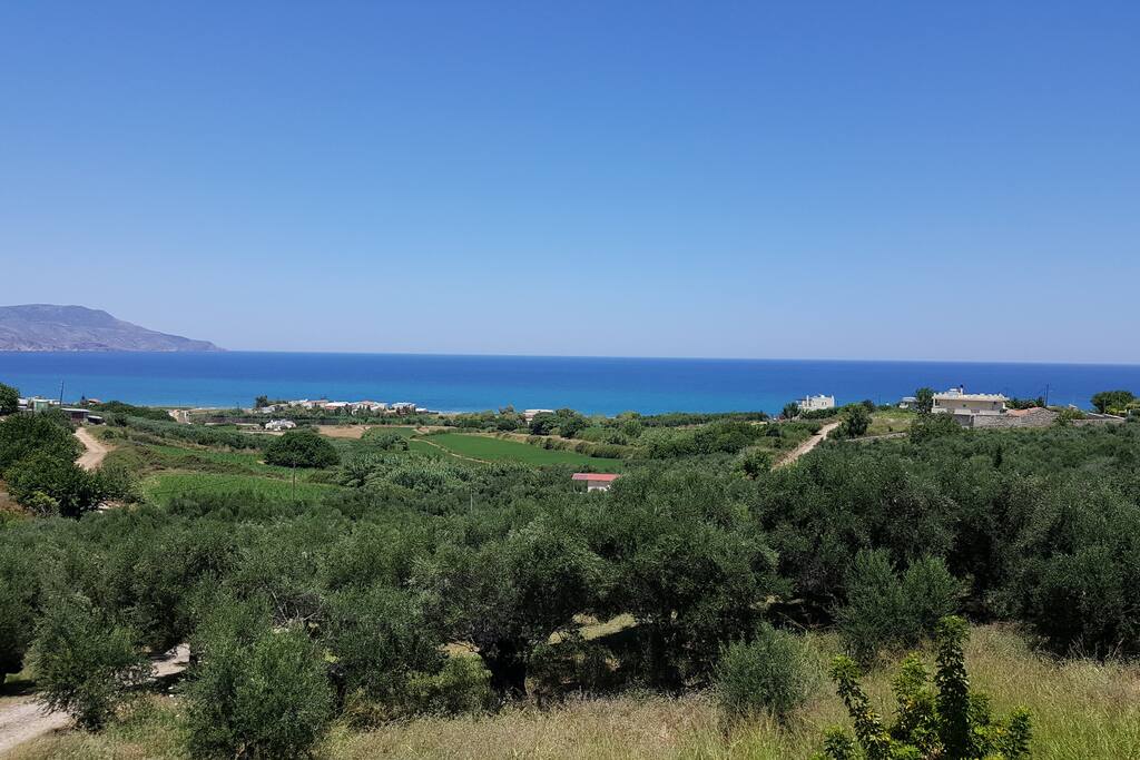 View from the house