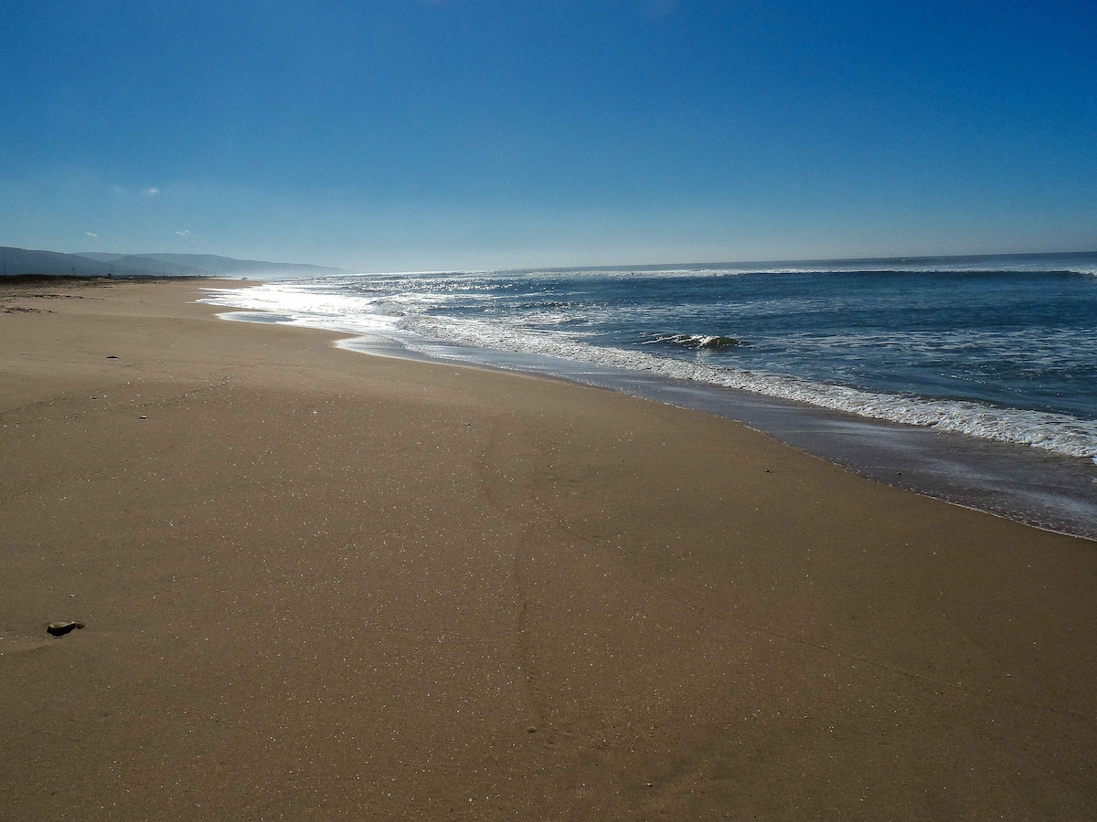 A serene beach scene features golden sands meeting gentle waves under a clear blue sky. The shoreline curves gracefully, reflecting sunlight along the wet sand, creating a tranquil atmosphere ideal for relaxation and contemplation.