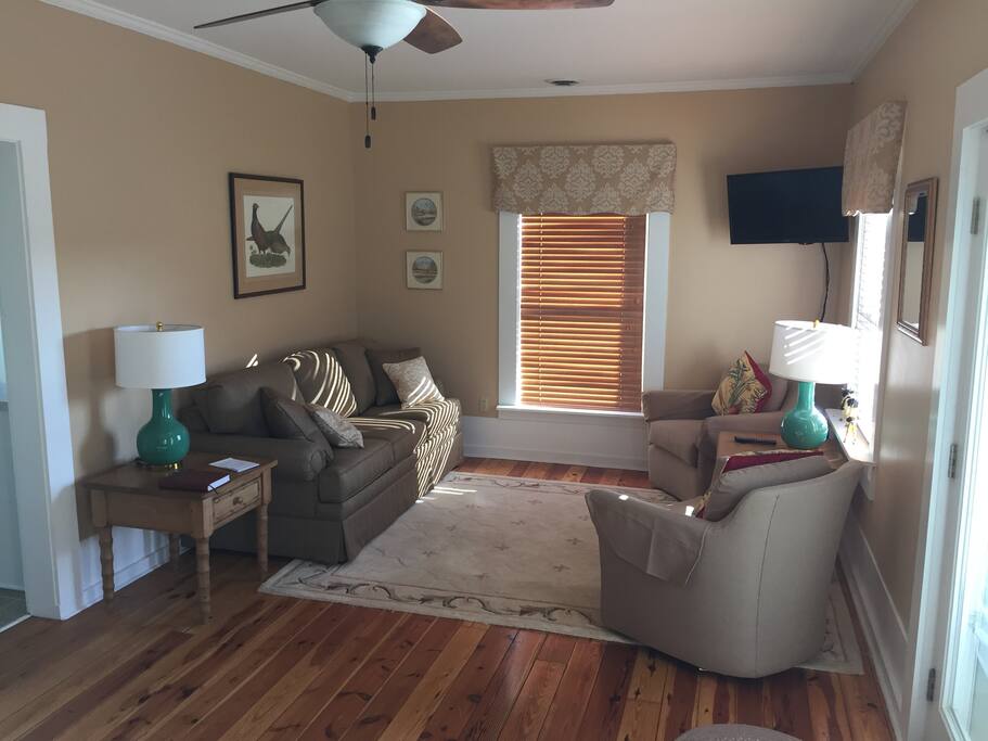 Beautiful Living Room with Sleeper Sofa