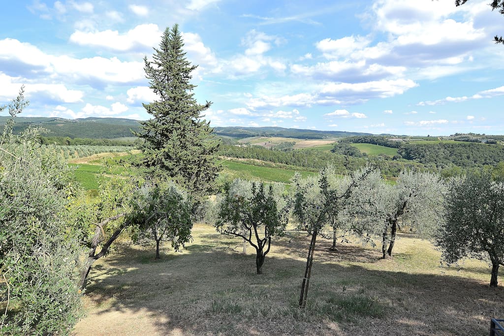 The Panorama from your garden surrounded by Olive Groves and Vineyards!