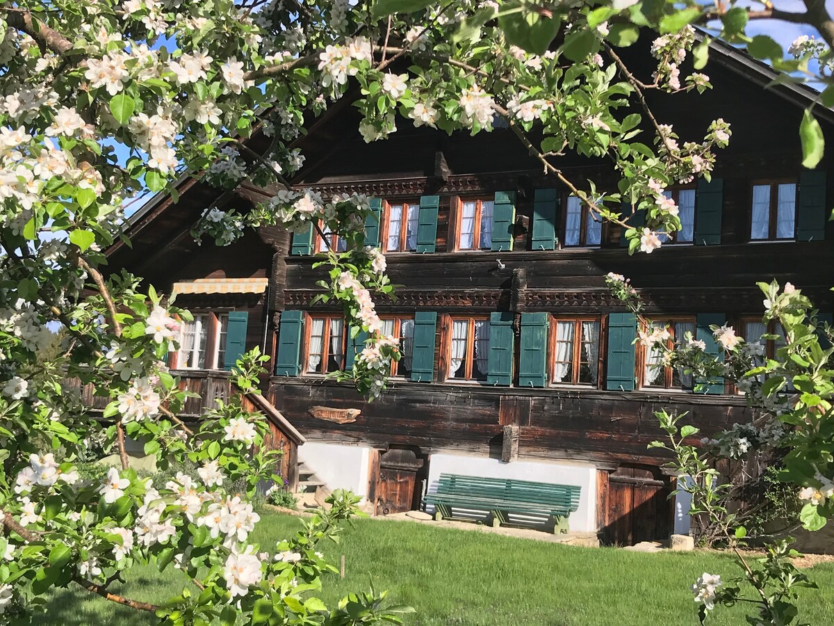 The historical chalet displays a rustic wooden facade, highlighted by green shutters and multiple windows. Blossoming branches frame the image, adding a touch of nature around a grassy area, where a wooden bench is visible. The entrance steps lead to a welcoming porch.
