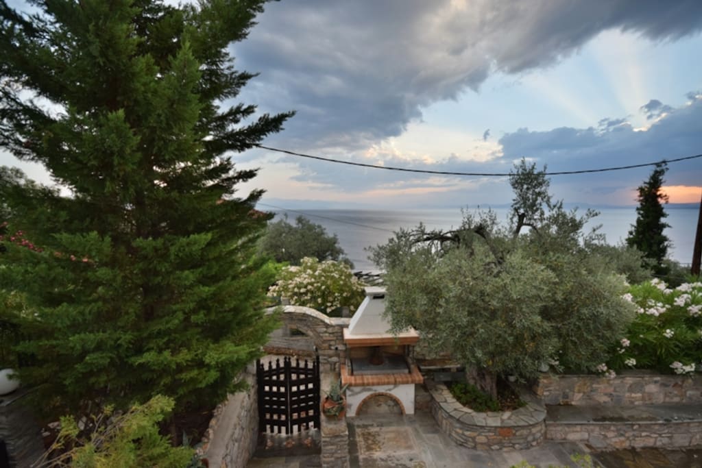a view from the garden