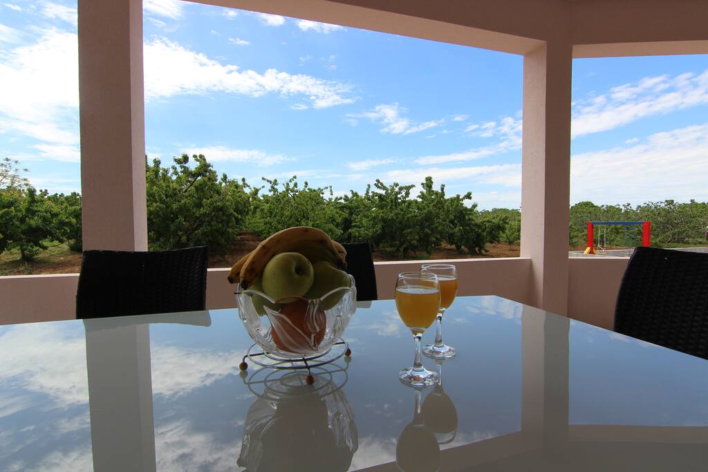 Terrace with view on a orchard