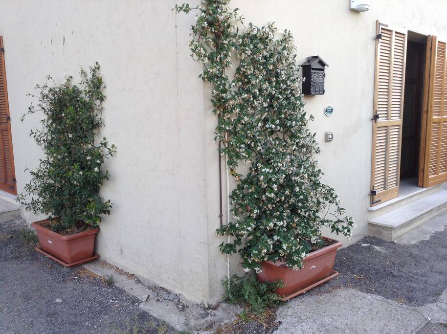 L'ingresso con un po' di verde .... A noi piace così