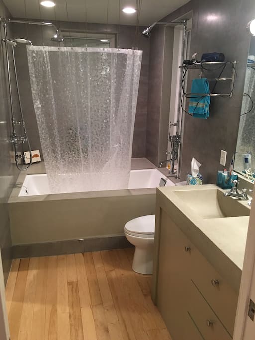 Bathroom, with tub and double-headed shower