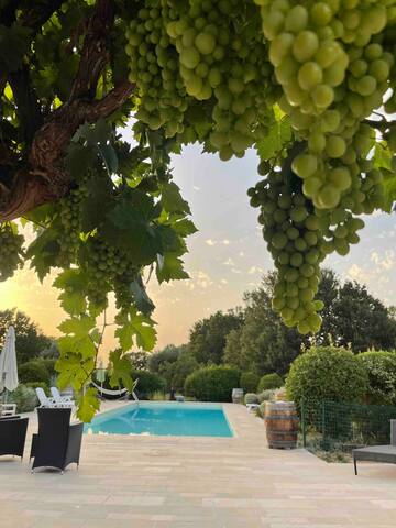 5 bedrooms luxury Trulli with pool-Trulli Fantese4 gallery image 4