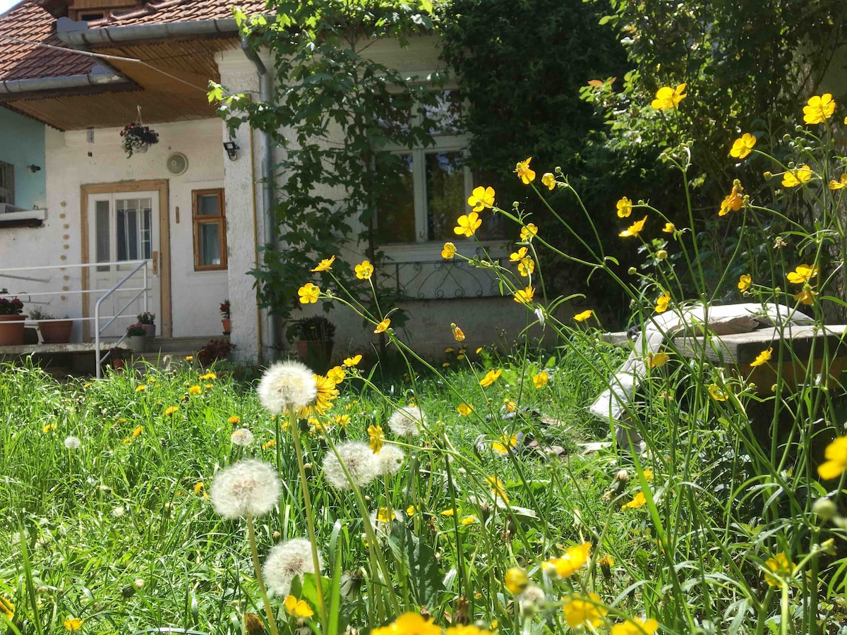 A charming courtyard is surrounded by a lush garden, filled with bright yellow flowers and dandelions. The house features a welcoming entrance with a light-colored façade visible through the greenery. Natural sunlight illuminates the scene, enhancing the tranquility of the space.