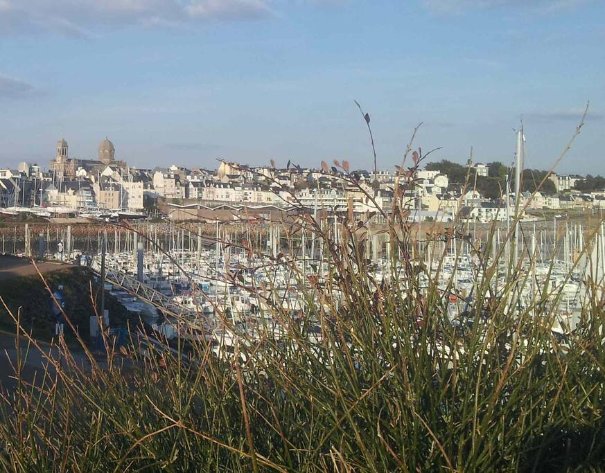 Granville, le port de plaisance, l 'église Saint-Paul