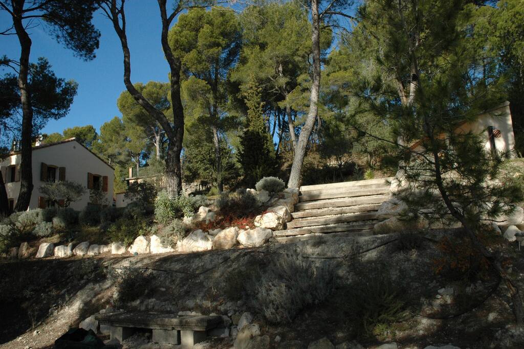 jardin