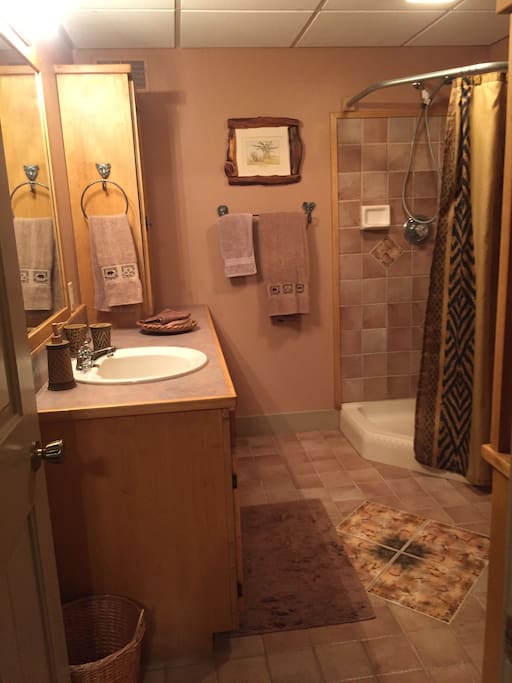 Africa bathroom