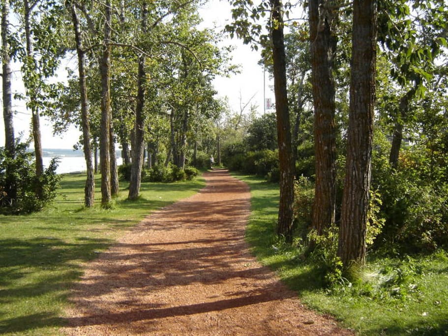 Beside Lake Walking Trail