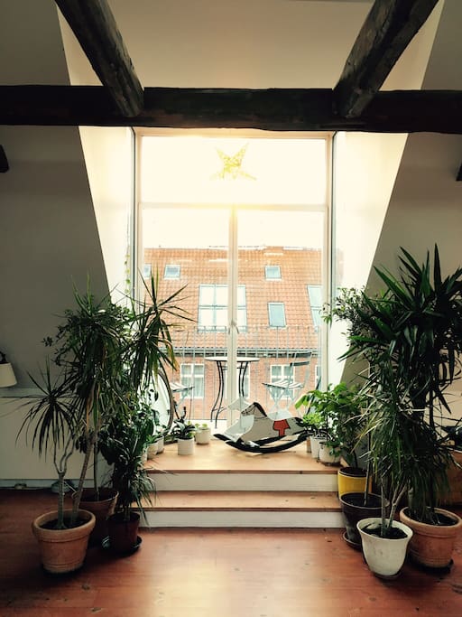 Fifth floor: view of balcony