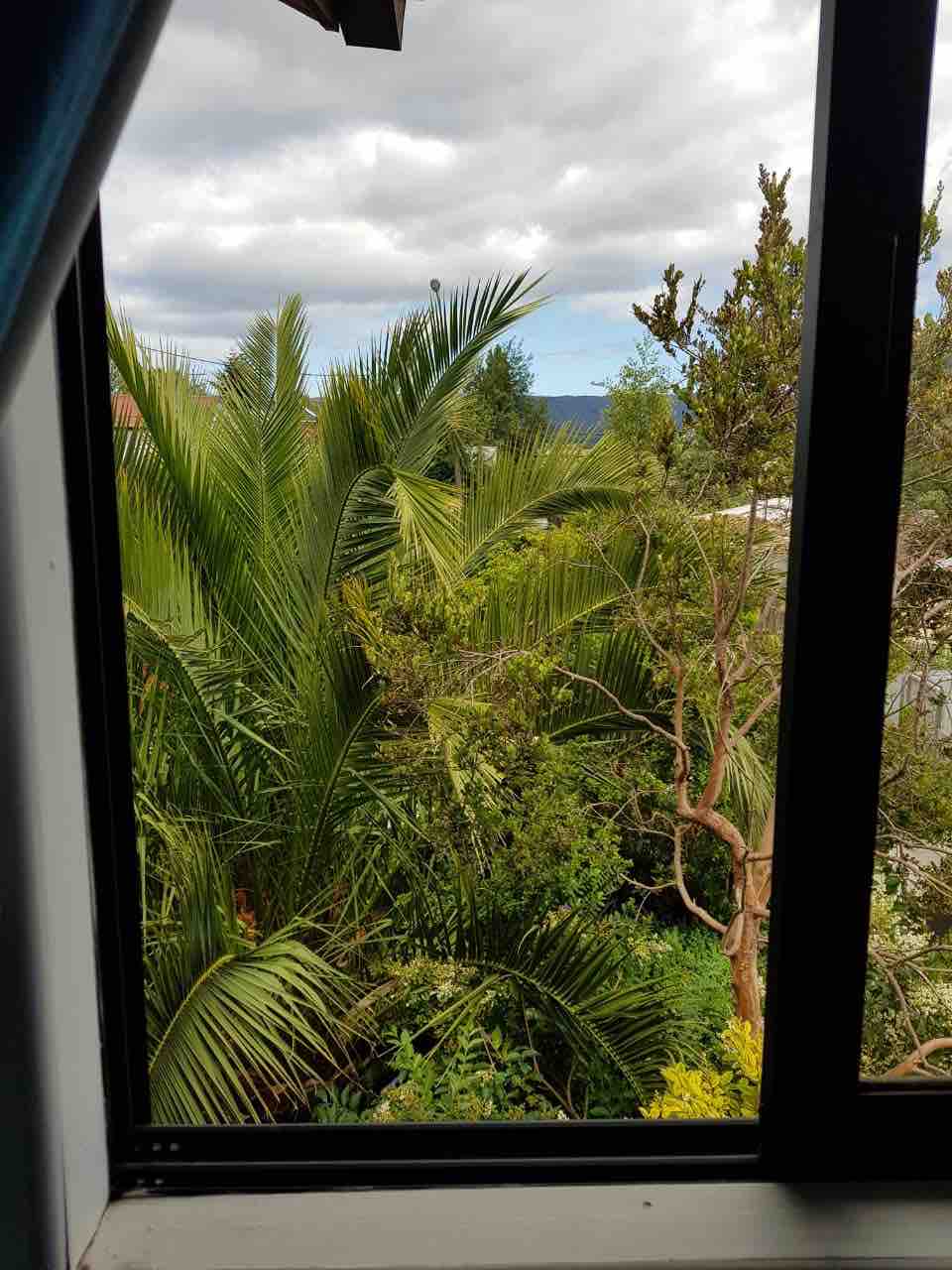 A large window frames a view of lush greenery, featuring tall palms and various plants. The natural landscape extends beyond the window, with distant hills visible under a cloudy sky.