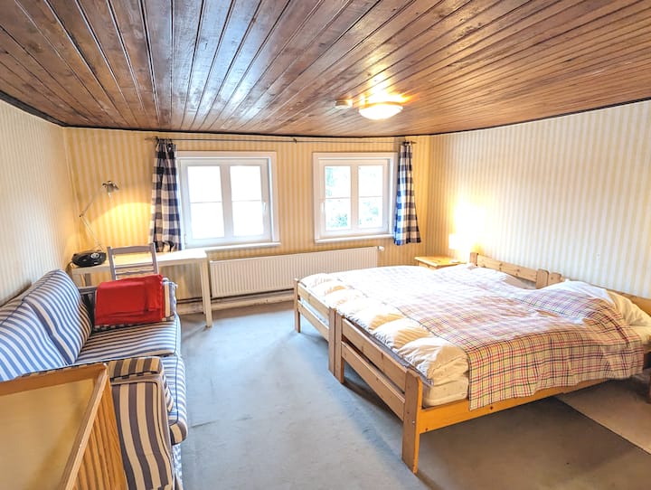 In the "Janosch"room you will find these two single beds, a sofa and a baby bed.