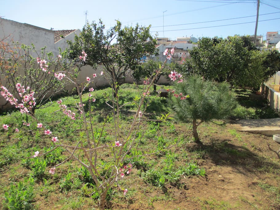 jardim / garden