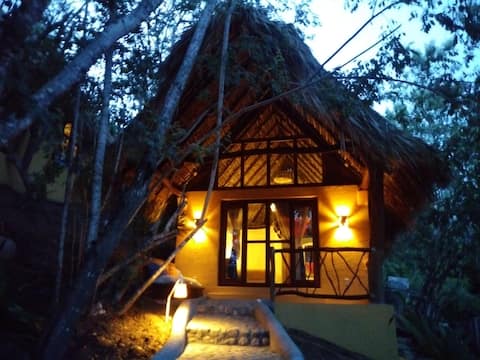Top performing Airbnb: Cabin (Luna 1) 5 minutes from the beach in Puerto ángel