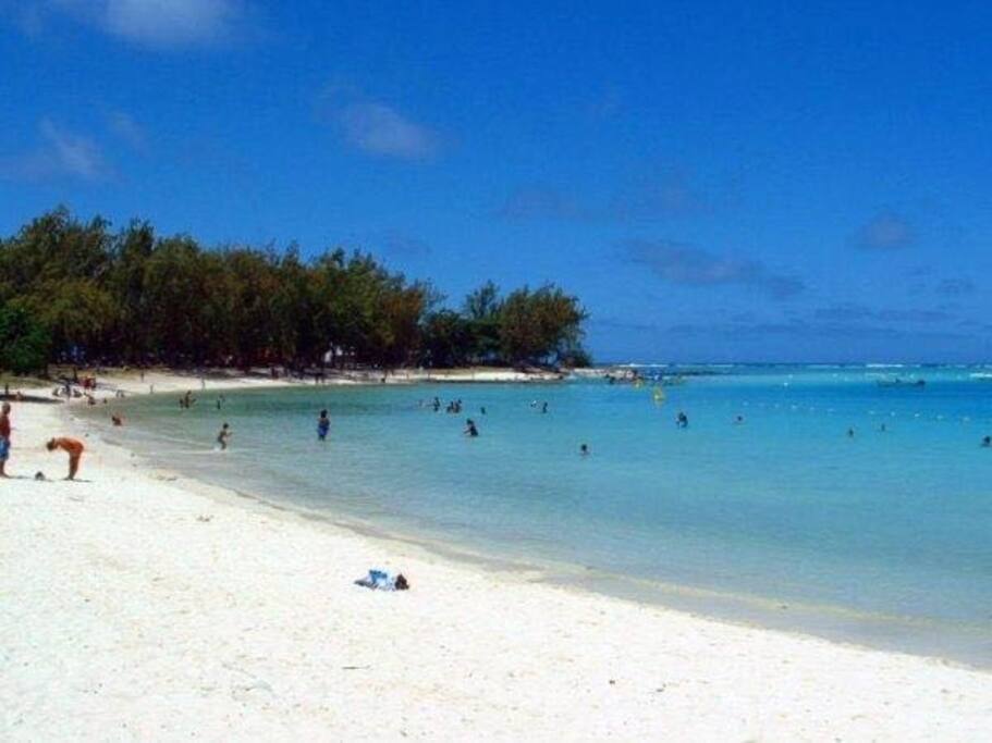 Blue Bay Beech