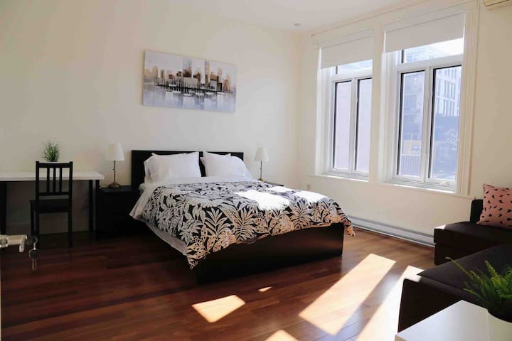 Friends&Family Big Renovated Downtown FREE PARKING