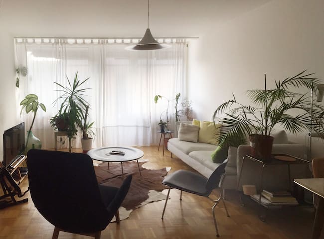 Basel - room in bright & modern apartment, terrace