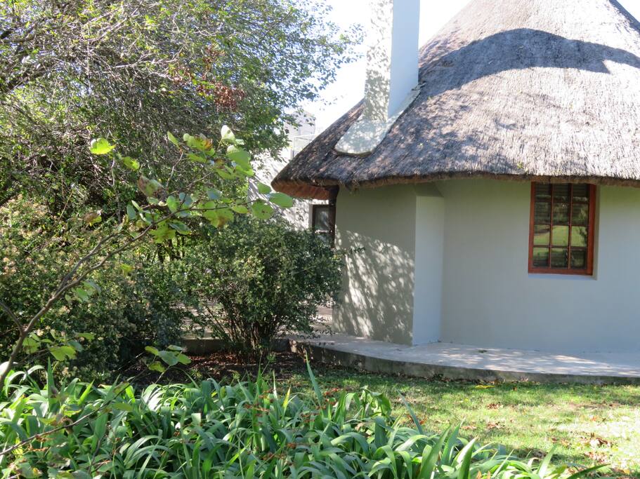 Side view