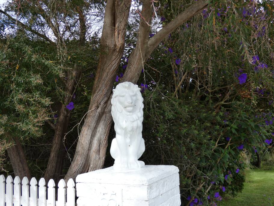 Found 2 Lions? You've found us!